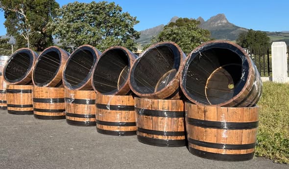 oak barrel half planters